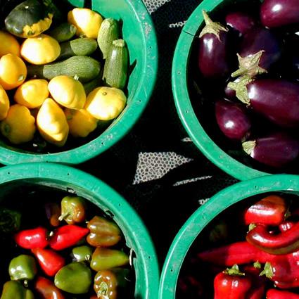 agricoltura biodinamica, agricoltura sostenibile, corso agricoltura biodinamica, agricoltura biodinamica corso, associazione agricoltura biodinamica italia, associazione agrcioltura biodinamica