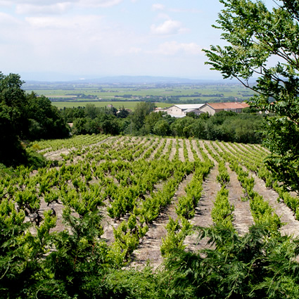 agricoltura biodinamica, agricoltura sostenibile, corso agricoltura biodinamica, agricoltura biodinamica corso, associazione agricoltura biodinamica italia, associazione agrcioltura biodinamica