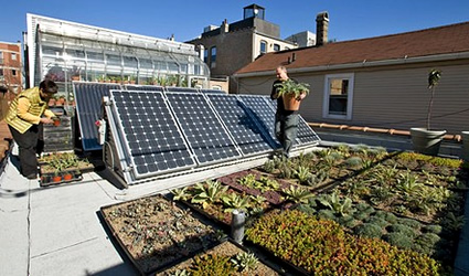 Come costruire un giardino pensile per coltivare il nostro orto in ... Contenitori per giardini pensili