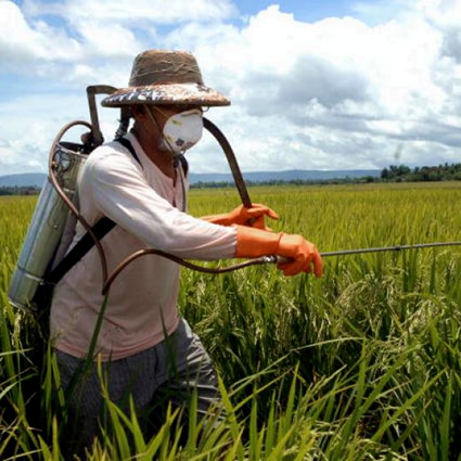 supernemo, nematodi, controllori biologici, nematodi controlori biologici, agricoltura biologica