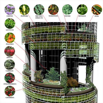 agricoltura verticale, aziende agricole verticali, azienda agricola verticale, agricoltura verticale progetti, architettura agricoltura verticale