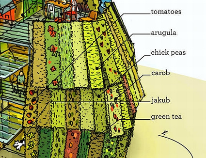 casa sostenibile, rios clementi hale, casa sostenibile e agricoltura urbana, agricoltura urbana, agricoltura urbana e architettura sostenibile