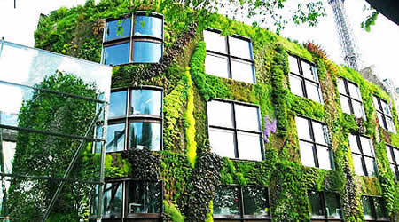 giardino_verticale_muro_verde_architettura_sostenibile_giardini_verticali giardino_verticale_muro_verde_architettura_sostenibile_giardini_verticali