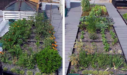 Come realizzare un giardino pensile o un tetto verde in 5 passi ... Come creare un giardino pensile sul terrazzo