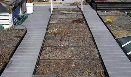 Come realizzare un giardino pensile o un tetto verde in 5 passi ... Come creare un giardino pensile sul terrazzo