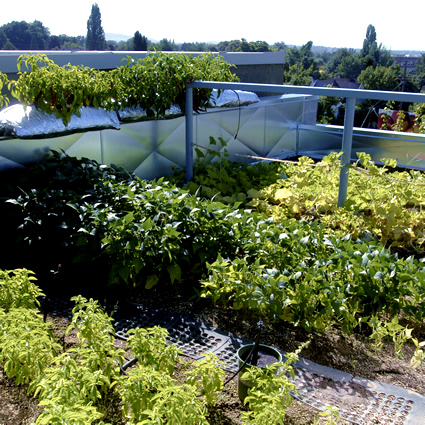 Come realizzare un giardino pensile o un tetto verde in 5 passi ... Come creare un giardino pensile sul terrazzo