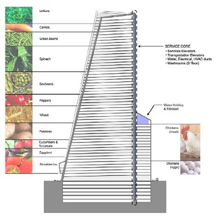 skyfarm, architettura sostenibile skyfarm, architettura sostenibile, skyfarm architettura sostenibile, agricoltura idroponica urbana, agricoltura urbana idroponica, idroponica, idroponica agricoltura urbana