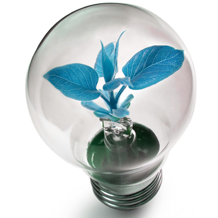 blue economy, hawaii blue economy, blue economy hawaii, congresso blue economy