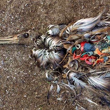 chris jordan fotografo, chris jordan, Great Pacific Garbage Patch, Great Pacific Garbage Patch  chris jordan