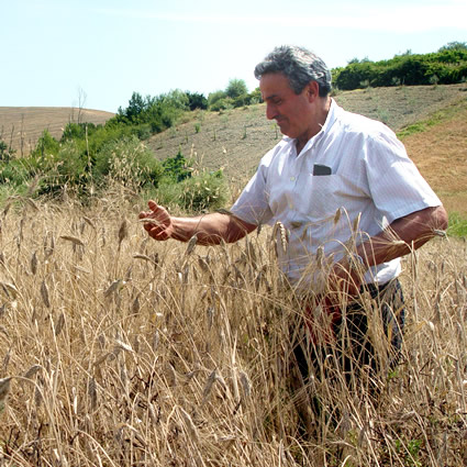 agricoltura_biodinamica_franco_pedrini_san_cristoforo_agricoltura_biodinamica_metodo_biodinamico_compostaggio_biodinamico_franco_pedrini_san_cristoforo_agricoltura_biodinamica