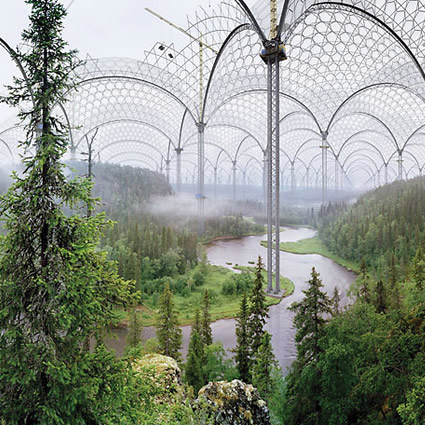 ilkka_halso_photography_landscape_ilkka_halso_natural_science_museum_ilkka_museum_museo_scienze_naturali_ilkka_museum_restoration