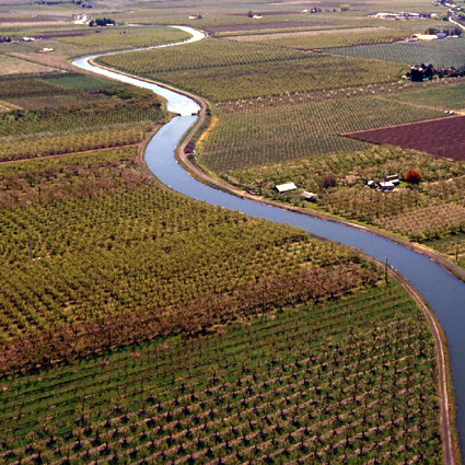 ogm, organismi geneticamente modificati, genet, informazioni su ogm, grano ogm, mais ogm, soia ogm, biocarburanti ogm, agricoltura ogm, ogm in agricoltura, coltivazioni ogm