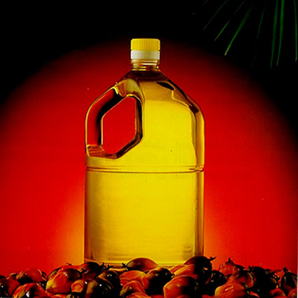 olio_di_palma_biocarburante_olio_di_palma_olio_friggere_olio_di_palma_indonesia_olio_di_palma