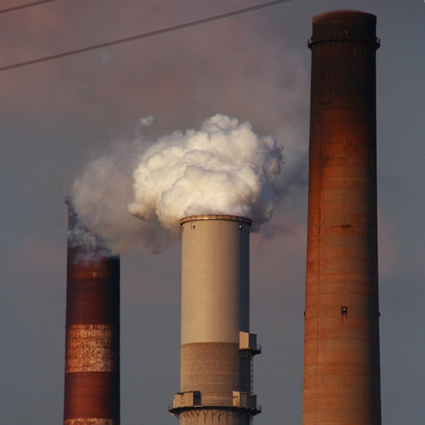 assorbimento della co2, piante assorbono co2, assorbimento della co2 con cielo nuvoloso, effetto oscuramento globale, oscuramento globale