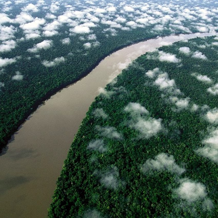 terra preta, terra preta fertilizzante, fertilizzante terra preta, terra preta amazzonia, fertilizzante sostenibile
