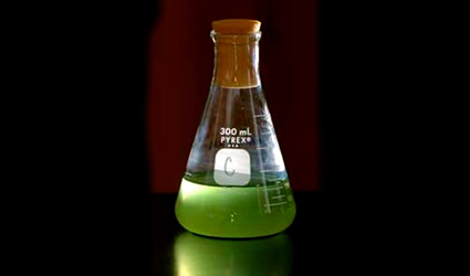 solazyme, soladiesel, solazyme soladiesel, soladiesel solazyme, biodiesel alghe,biodiesel alghe solazyme, solazyme biodiesel, solazyme biodiesel alghe, biocarburante alghe, alghe biocarburante, biocarburante solazyme