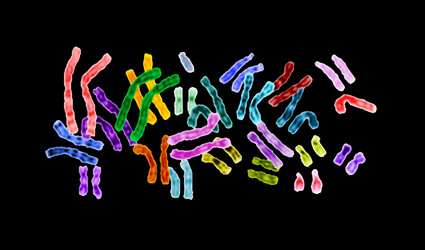 biocarburanti_genoma_biocarubrante_quarta_generazione_biocarburanti_di_quarta_generazione_loblolly_pine_enzimi_cellulosa_etanolo_joint_genome_institute