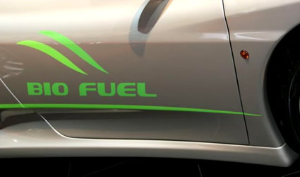 biocarburanti_sostenibili_biocarburante_sostenibili_unione_europea_ue_trasporto_elettrico_automobili_elettriche biocarburanti_sostenibili_biocarburante_sostenibili_unione_europea_ue_trasporto_elettrico_automobili_elettriche