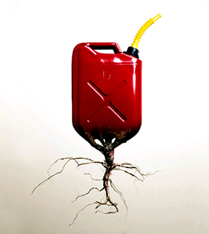 biodiesel_biocarburante_mcgyven_krohn_sartec_corp_biofuel_news