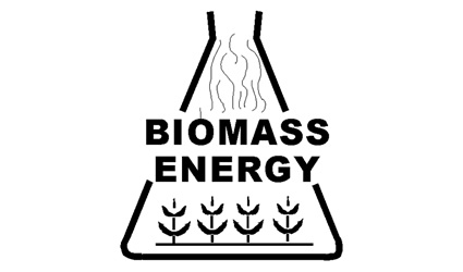 biomassa, energia da biomassa, biomassa energia, carbon negative, biomassa carbon negative, carbon negative da biomassa, biomassa e carbon negative