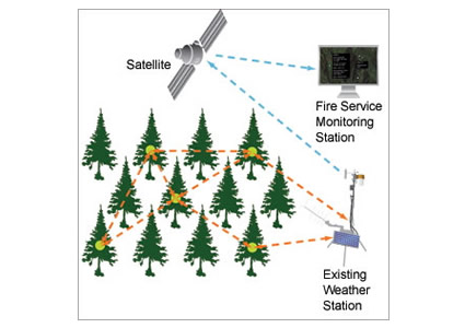 energia elettrica dagli alberi, energia elettrica albero, utilizzare energia elettrica dagli alberi, prevenire incendi con energia elettrica, prevenire incendi con energia elettrica dagli alberi