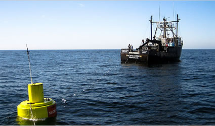 energia dal mare, energia dalle maree, energia maree, energia onde, turbine eoliche, turbine off shore, turbine eoliche galleggianti