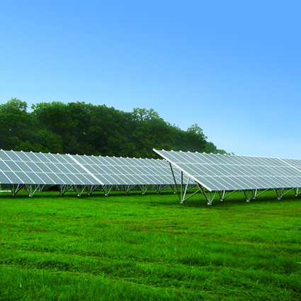 impianti_fotovoltaici_agricoltura_limoni_progetto_impianto_fotovoltaico_coltivazione_agrumi_agricoltura_energia_rinnovabile_energia_solare_4.jpg