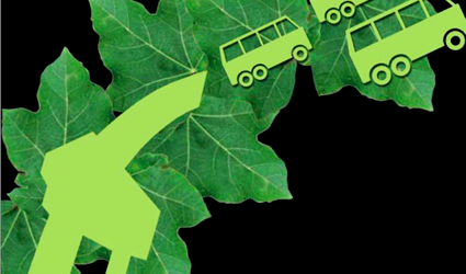 jatropha_curcas_biodiesel_jatropha_biocarburante_jatropha_curcas_combustibile_jatropha_curcas_pianta_jatropha