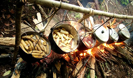 manioca, manioca etanolo, etanolo da manioca, manioca tubero, tubero di manioca etanolo, manioca ogm, ogm manioca, manioca geneticamente modificata, manioca sostenibile