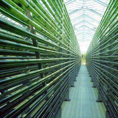 produrre_biodiesel_in_casa_biodiesel_da_alghe_biocarburante_dalle_alghe_produzione_alghe_tecnologia_biodiesel_energia_algaelink_algae_link