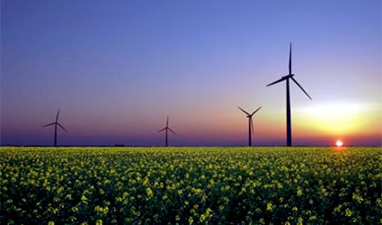 clean_energy_trends_2008_tecnologia_verde_green_tech_news_energia_rinnovabile_eolico_ev