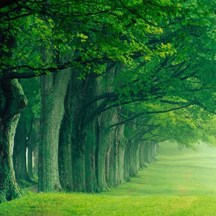 design sostenibile, progettazione verde, architettura verde
