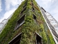 giardini_verticali_patrick_blanc_giardino_verticale_giardiniere_verticale_giardino_verticale_1