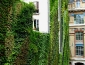 giardini_verticali_patrick_blanc_giardino_verticale_giardiniere_verticale_giardino_verticale_8