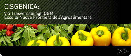 Cisgenica: La Nuova Frontiera dell’Agroalimentare. Introdurre Geni da Specie Simili e Familiari per Combattere Malattie, Funghi e Batteri. Obiettivo? Combattere la Chimica Agraria