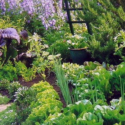 giardinaggio sostenibile, giardino sostenibile, compost, raccolta acque grigie, raccolta acque, pacciame, compost giardino, giardinaggio sostenibile e compost