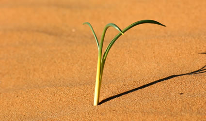 sostenibilità_business_sostenibile_business_plan_sostenibile_ecobusiness_sostenibili sostenibilità_business_sostenibile_business_plan_sostenibile_ecobusiness_sostenibili