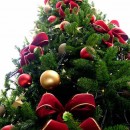 albero_di_natale_natale_christmas_tree