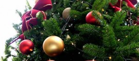 albero_di_natale_natale_christmas_tree