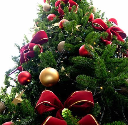 albero_di_natale_natale_christmas_tree