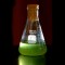 alghe_biodiesel_alghe_biocarburante_biocarburanti_alghe_algaelink_biodiesel_alghe_2