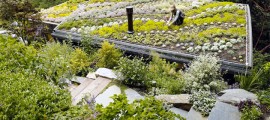 giardini-pensili-come-realizzare-tetto-verde-01