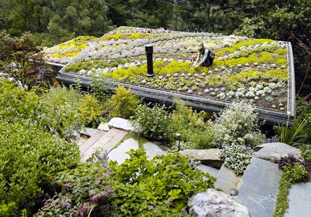 Come realizzare un giardino pensile o un tetto verde in 5 passi ... Realizzare un giardino