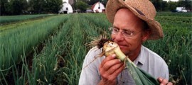 fattoria_sociale_fattorie_sociali_agricoltura_sociale_filiera_corta_agricoltura_biologica_cibo_locale_agricoltura_locale_prodotti_locali_agricoltura_sociale_4