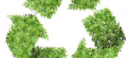 progetto_compostaggio_milano_composter_compostaggio_milano_verde_pubblico_compostaggio_spazi_verdi_pubblici_compostaggio_1