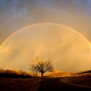 celle_fotovoltaiche_celle_solari_energia_solare_luce_sole_gamma_colori_tecnologia_solare_1