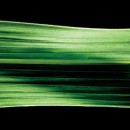etanolo_cellulosa_legno_biocarburanti_da_legname_cellulosa_etanolo_biocarburante_zuccheri_etanolo_produrre_biocarburanti_3