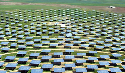 impianti_fotovoltaici_agricoltura_limoni_progetto_impianto_fotovoltaico_coltivazione_agrumi_agricoltura_energia_rinnovabile_energia_solare_2