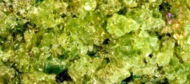 peridotite_roccia_assorbimento_co2_peridotite_co2_assorbimento_biossido_carbonio_peridotite_1