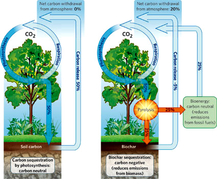 biochar_carbone_agricolo_foreste_tropicali_sviluppo_locale_3